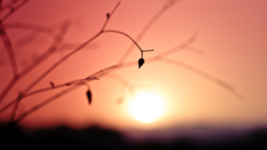 1702437 (a): :1920x1080